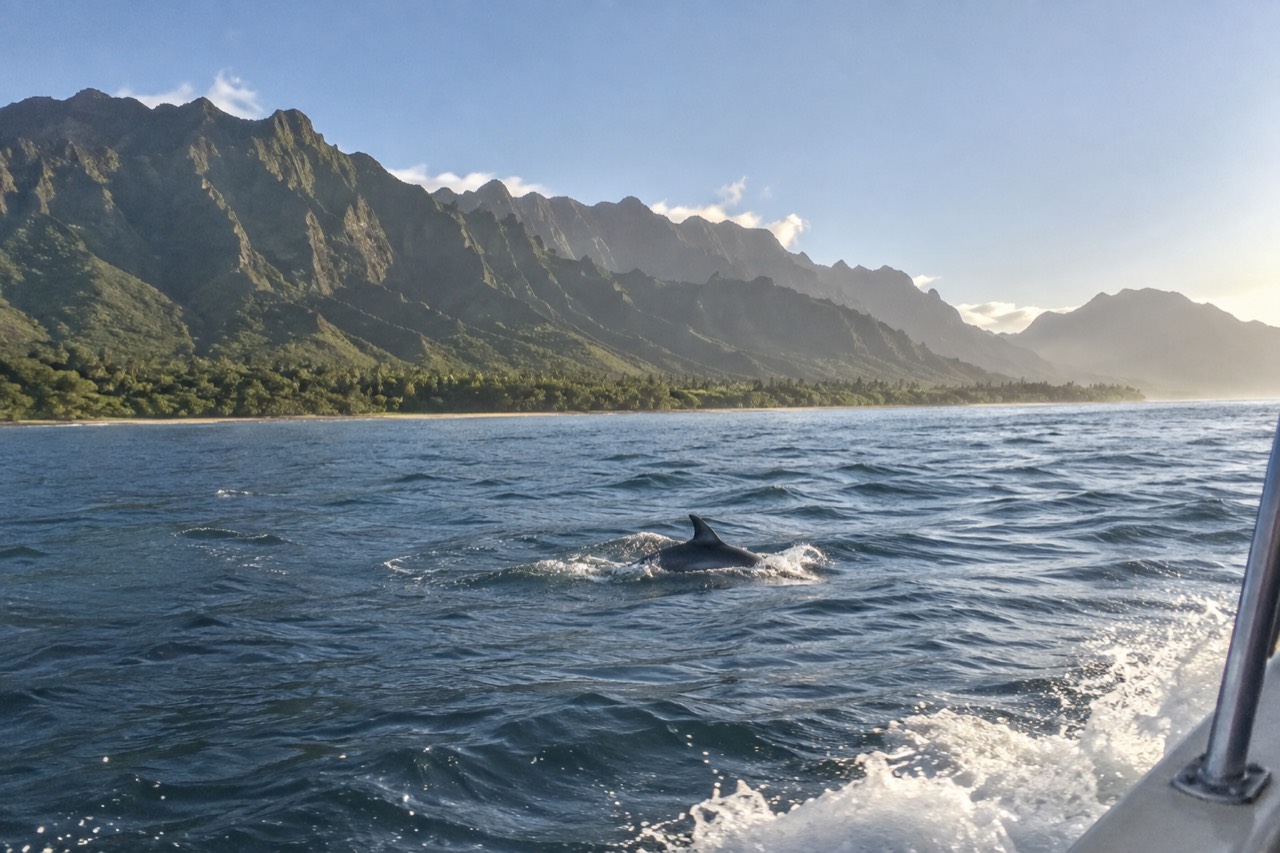 A green valley meeting a tall cliffed coastline above calm tropical water near Hanalei on Kauai.