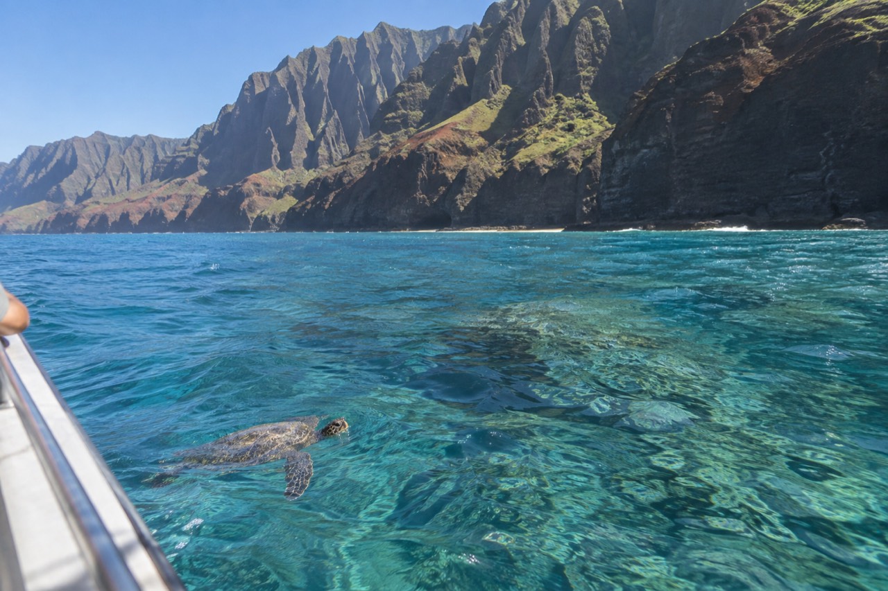 Calm turquoise water along the Napali Coast cliffs on a clear summer morning