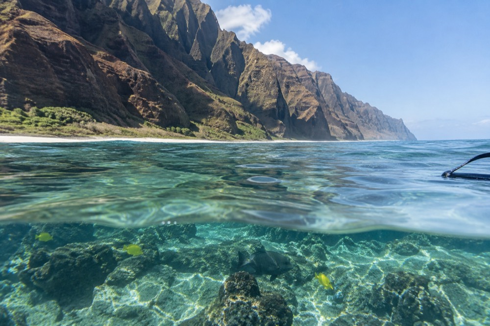 Clear shallow water over a coral reef with tropical fish near a cliff shoreline