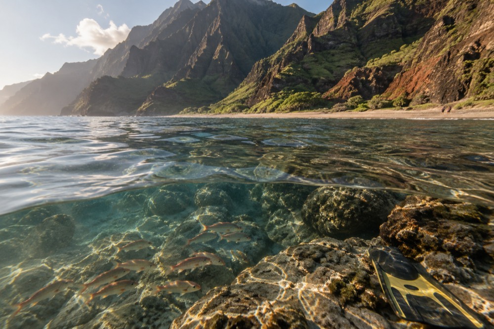 Clear shallow water over a coral reef with tropical fish near a rocky shoreline.