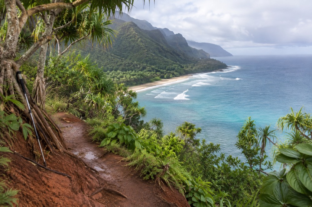 A narrow dirt footpath contouring along a green cliff above the ocean