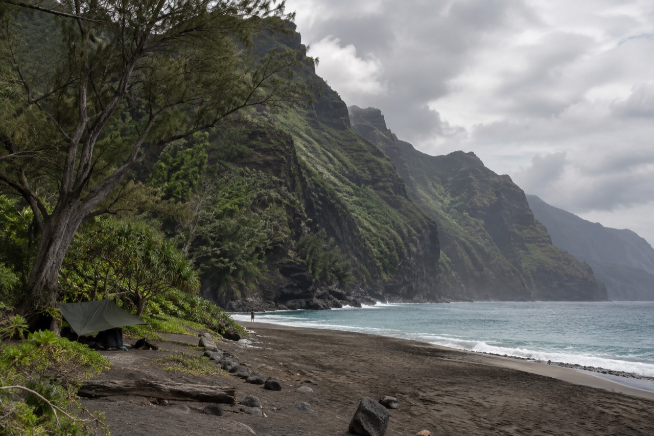 Green sea cliffs of the Napali Coast rising above a calm blue ocean