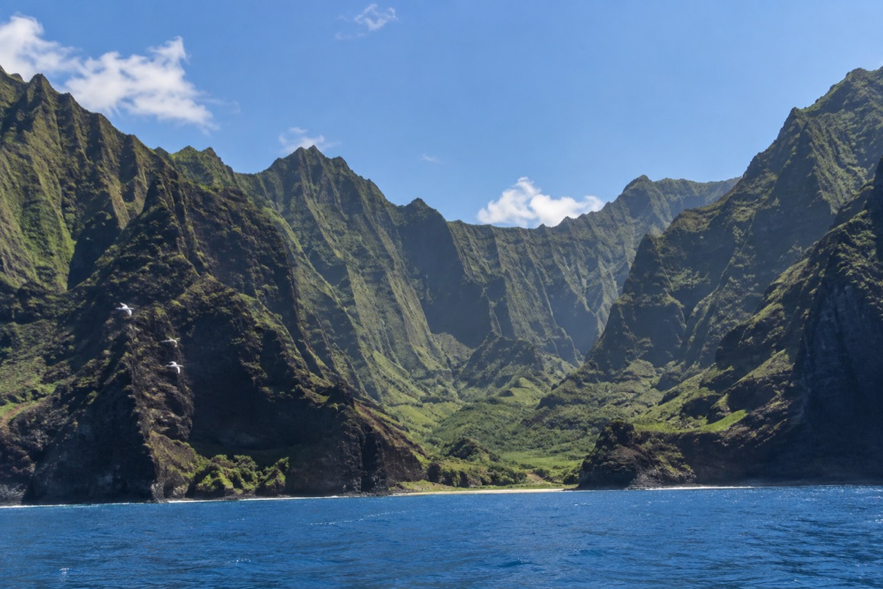 A quiet Kauai coastline with green cliffs meeting calm blue water under a bright sky