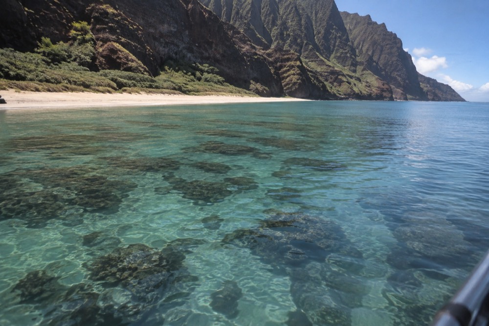 Calm shallow reef water seen from above, with coral formations below the surface