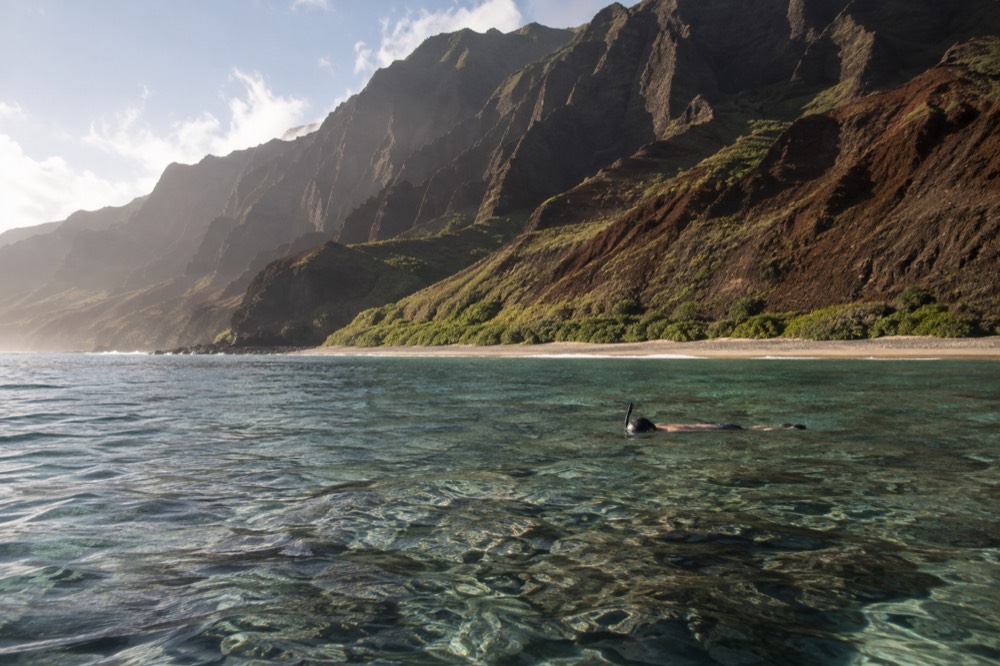 A snorkeler floating calmly on the surface above a shallow reef in clear water