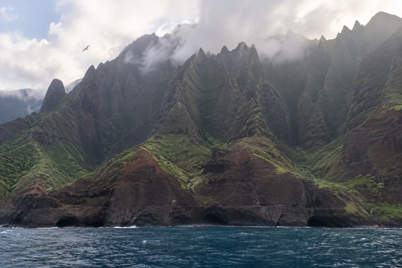 Green sea cliffs rising from calm blue ocean along a rugged Hawaiian coastline
