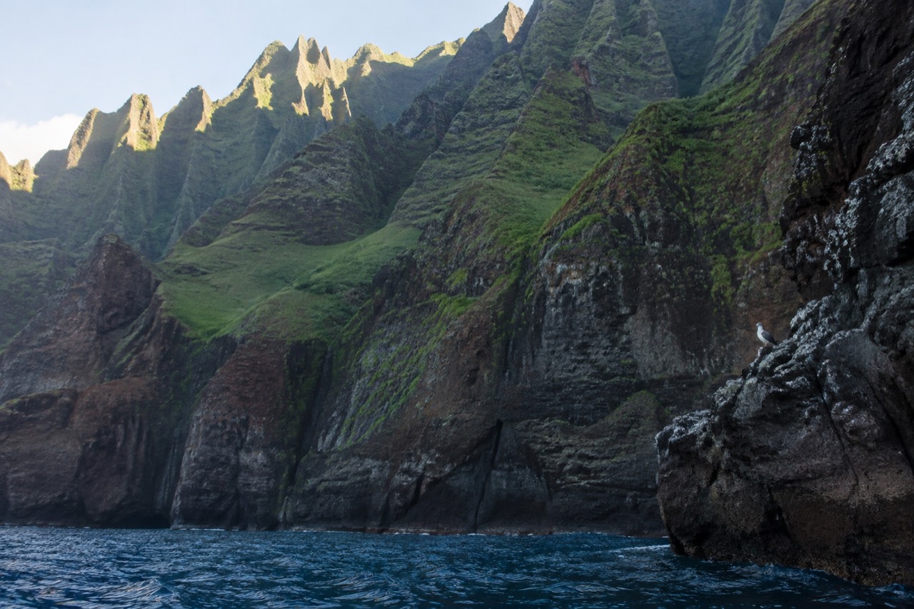 Tall green sea cliffs rising from calm blue water along a remote Hawaiian coastline
