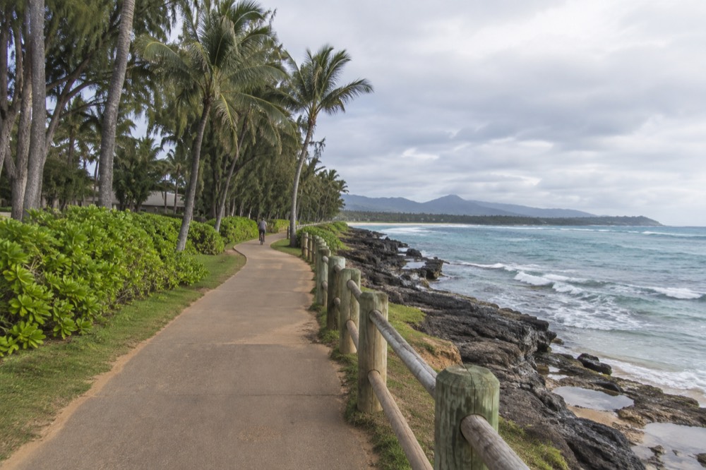 A paved shoreline path curving beside turquoise water with coconut palms