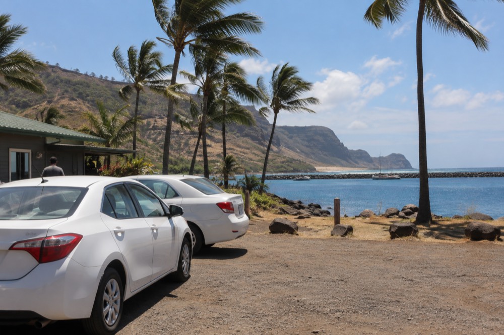 Rental cars parked near a coastal road with palm trees