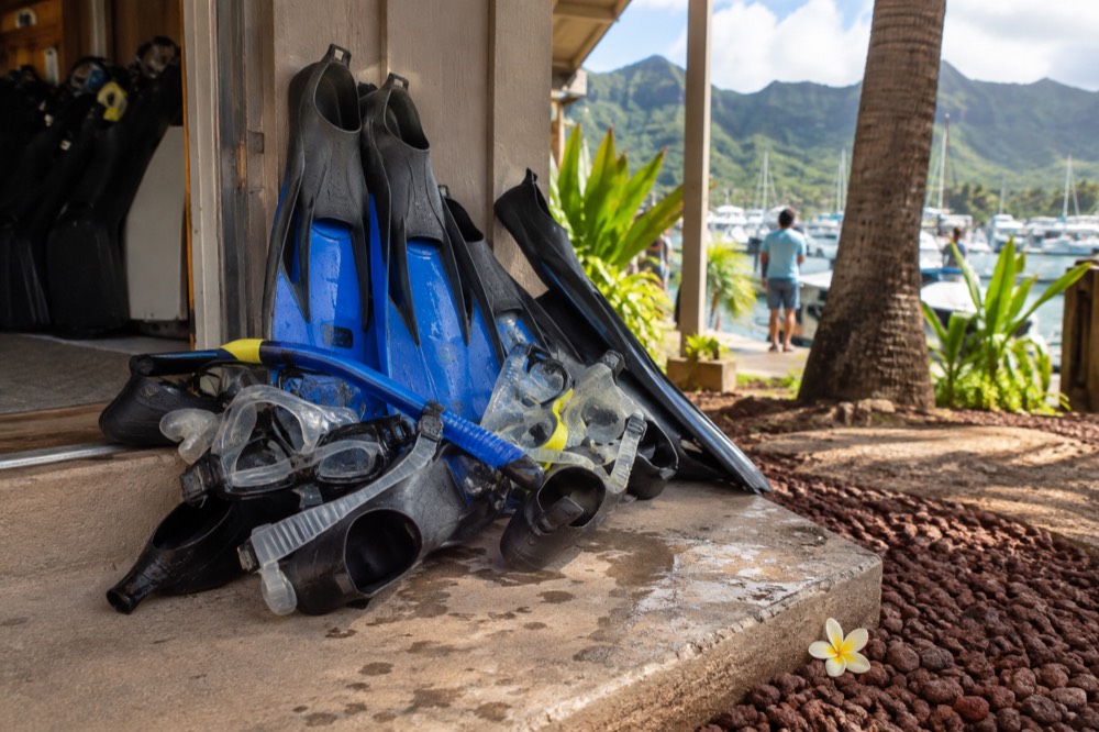 Loaner snorkel gear stacked at a Port Allen check-in office