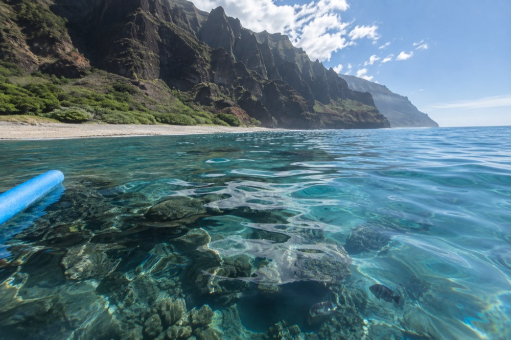 Clear shallow water over a coral reef with small fish