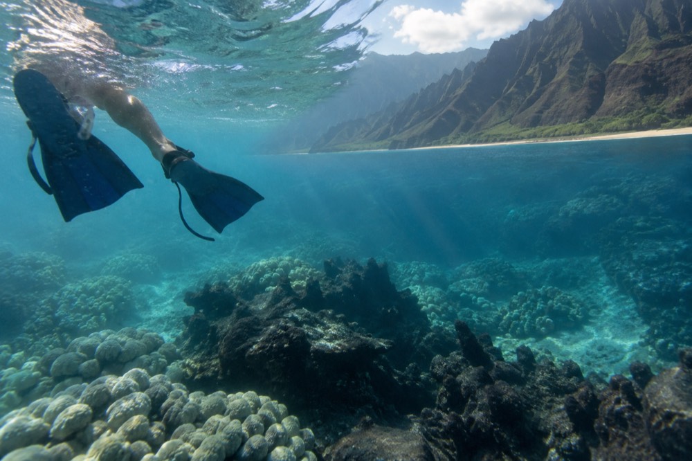 A snorkeler floating over a coral reef in clear turquoise water