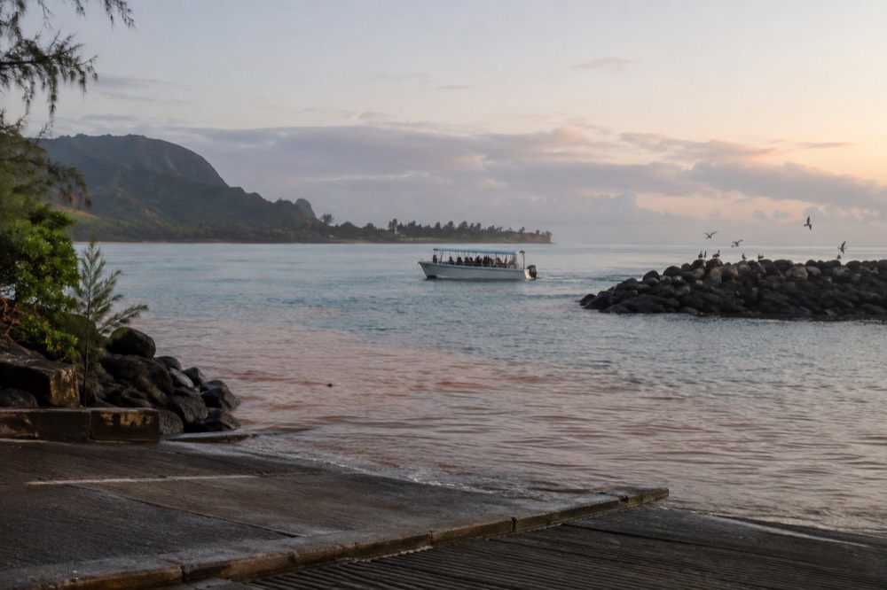 A small boat harbor at dawn with masts and a calm inlet behind