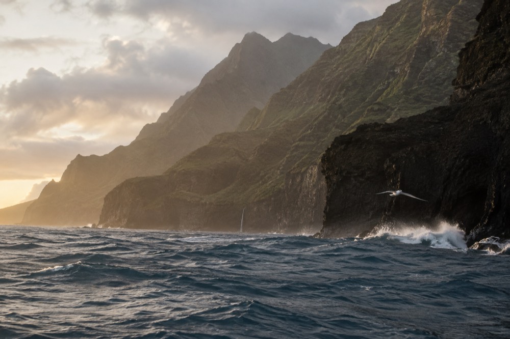 Open ocean swells moving toward dark sea cliffs in late day light