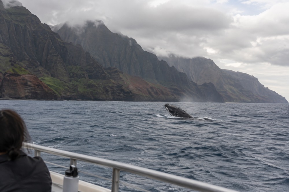 From a drifting tour boat on Kauai