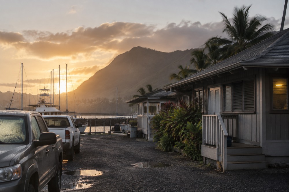 A harbour dock at first light with small tour boats moored in a row