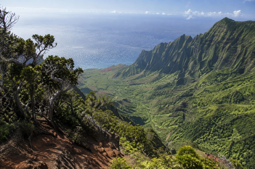 A view from the Kalalau Lookout showing the deep green valley dropping away to the ocean